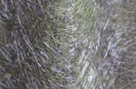 South Killingholme fibreglass roof work